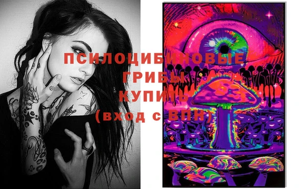 спиды Мегион