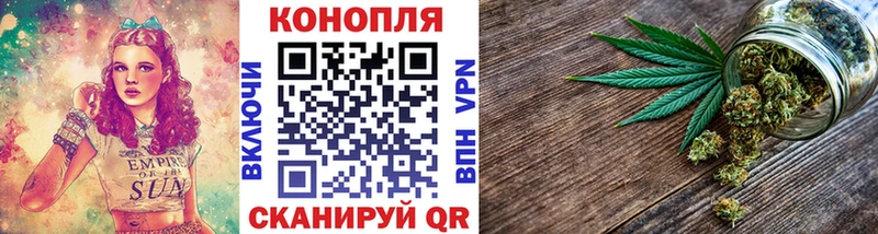 Шишки марихуана Bruce Banner  Купить закладки  Нефтекумск 